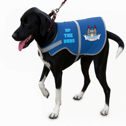 Hi Vis Dog Vest - County or Club Colours