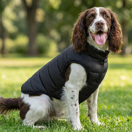 Dog’s puffer jacket